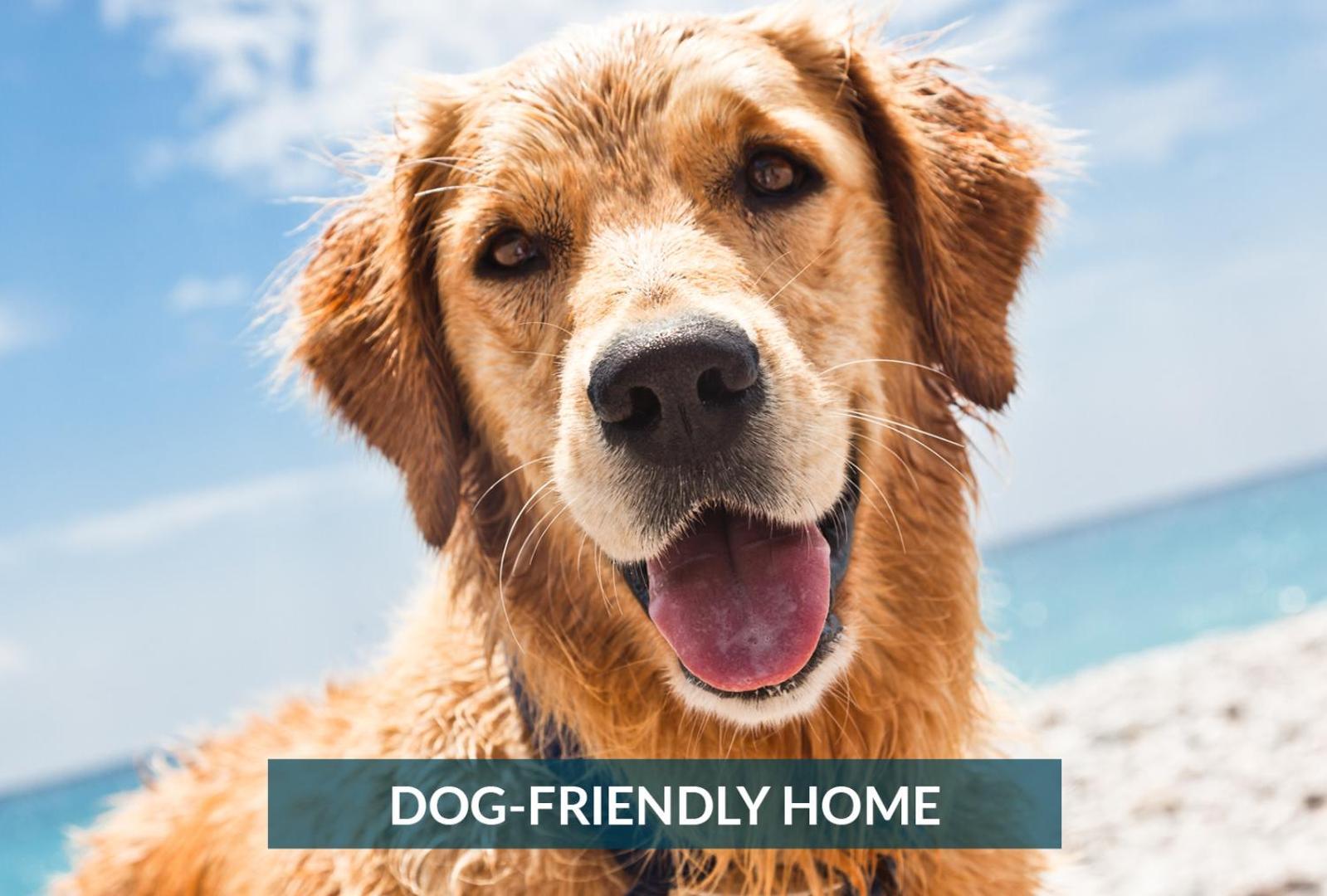 5508 Southern Comfort Dog Friendly Shared Pool 악마 힐스 외부 사진